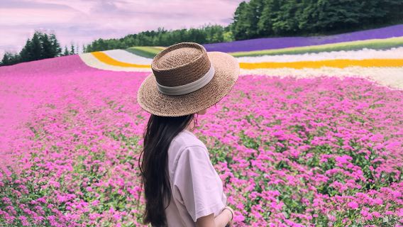 Hokkaido summer 1-day tour | Asahiyama Zoo, Shirogane Blue Pond (Aoiike), and purple romantic flower fields (departing from Sapporo)