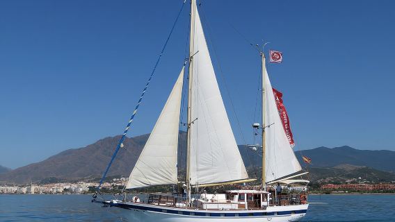 Aventure d'observation des dauphins dans la baie d'Estepona