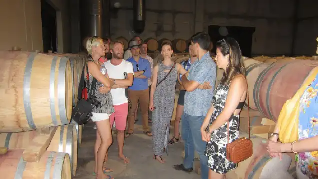 Private Wine Tour with Wine Tasting and Full Lunch (day trip)