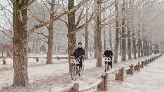 Isla Nami, Jardín de la Calma Matutina y recorrido en bicicleta de riel por Gangchon
