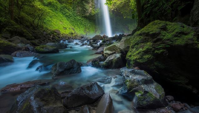 Excursion 4-en-1 à La Fortuna : Ponts, Volcan, Cascade