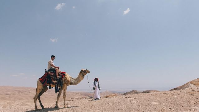 Sunrise Desert Safari (Optional Camel Ride/Breakfast/Bonfire)