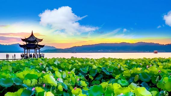 杭州西湖遊船+雷峰塔+飛來峰+靈隱寺&西湖全景包車一日遊