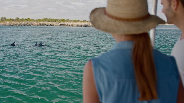 Crucero ecológico guiado con delfines en la bahía de Koombana