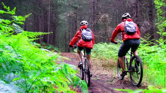 Etna: Mountain Bike or E-Bike Tour on Mount Etna