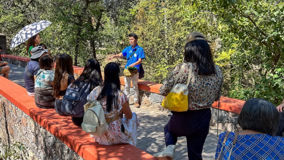 Desde la Ciudad de México: Excursión de un día a San Miguel de Allende