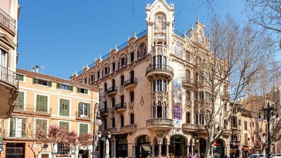 Mallorca: Transfer to Palma self-guided Tour