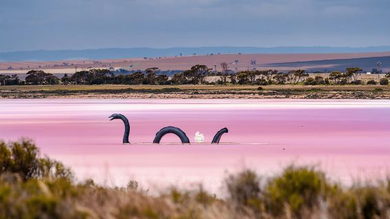 聖誕/元旦可訂阿德萊德 奔富瑪吉爾酒莊品酒+粉紅湖中文一日遊