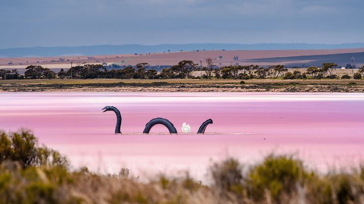 聖誕/元旦可訂阿德萊德 奔富瑪吉爾酒莊品酒+粉紅湖中文一日遊