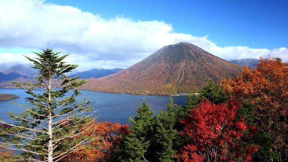 Nikko: Private Walking Tour with Local Guide