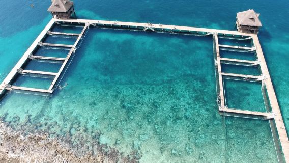 Cozumel: Sea Lion Program at Chankanaab Beach Adventure Park