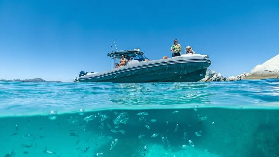 Olbia:Tavolara Boat Tour Kumpulan kecil (Maksimum 12 pax) + Aperitif