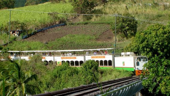 Basseterre: Dagtrip naar de St. Kitts Scenic Railway met drankjes
