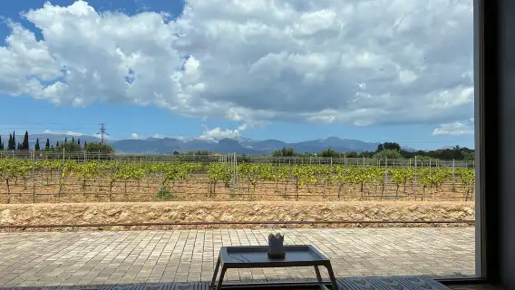 ปาล์มา เดอ มายอร์กา: ประสบการณ์และการชิมไวน์ที่แท้จริง