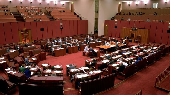 Dari Sydney: Canberra Day Tour