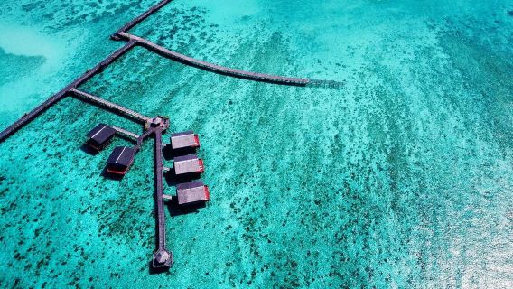 Dragon Pearl Resort, Isola di Pom Pom, Malesia|Villa con attività di snorkeling (snorkeling gratuito: uso illimitato dello snorkeling nelle acque del resort)