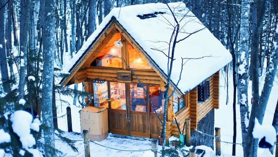 北海道|旭川動物園／富田農場＆四季彩之丘＆瀑布＆青池一日遊
