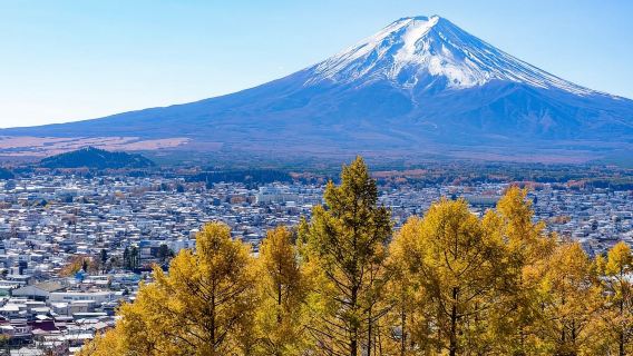 Tokyo|Kampung Tangga Syurga + Kapal Lanun Hakone + Kuil Hakone + Taman Oishi|Perjalanan sewaan peribadi boleh disesuaikan