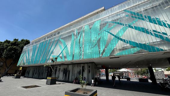 ทัวร์สุดพิเศษเกี่ยวกับเตกีลาและเมซคาล