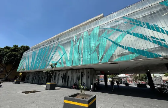 龍舌蘭酒與梅斯卡爾酒專屬之旅