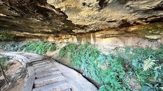 Blue Mountains: Overcliff-Undercliff Guided Hike