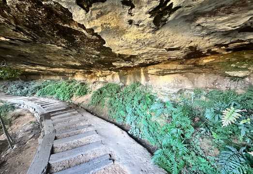 Blue Mountains: Overcliff-Undercliff Guided Hike