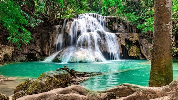 [รถเช่าเฉพาะตัวพร้อมคนขับ] ทัวร์หนึ่งวัน: สะพานแม่น้ำขวาย + เส้นทางรถไฟแห่งความตาย + น้ำตกเอราวัน (จังหวัดกาญจนบุรี ประเทศไทย)