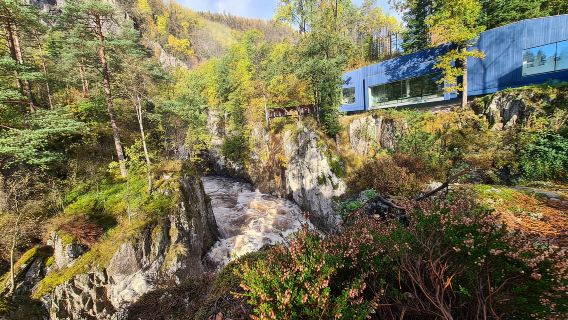Kristiansand: Wild Salmon Center Guided Tour with Bus Ride