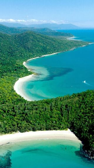 Australia Daintree Rainforest + Cape Tribulation + Mossman Gorge Cultural Centre Day Tour [Departure from Multiple Locations with Transfers Included]