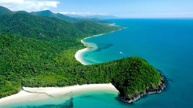 ทัวร์ 1 วัน ป่าดิบชื้นเดนทรี + แหลมเคปทริบิวเลชัน + หุบเขาโมสมัน (รวมบริการรับส่งจากหลายจุด)