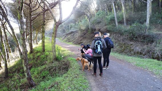 From Vila do Bispo: Guided Hike at Cordoama Cliffs