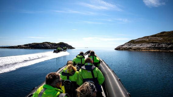 RIB to Saltstraumen and Sea Eagle Safari