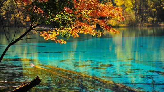 共乘8人團|九寨溝風景區一日遊◆九黃高鐵站接駁+含門票觀光車