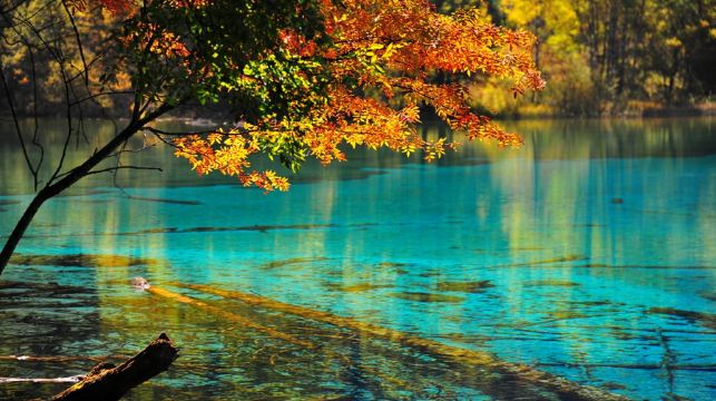 九寨溝風景區-松潘高鐵站（單程）空調大巴接駁車