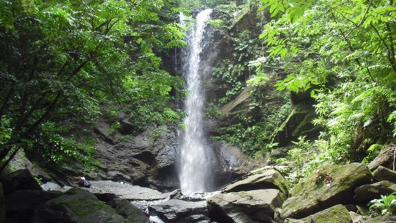 Avocat Waterfall Tour & Beach Stop Adventure
