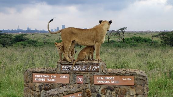 NairobiTours