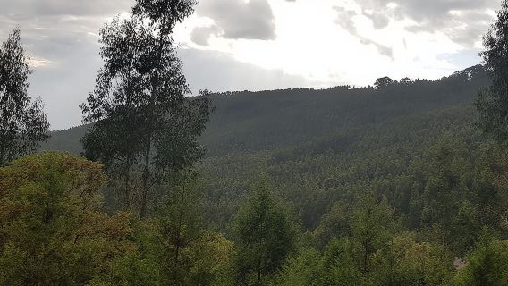 Lawatan bandar Addis, Transit di Addis dengan kereta