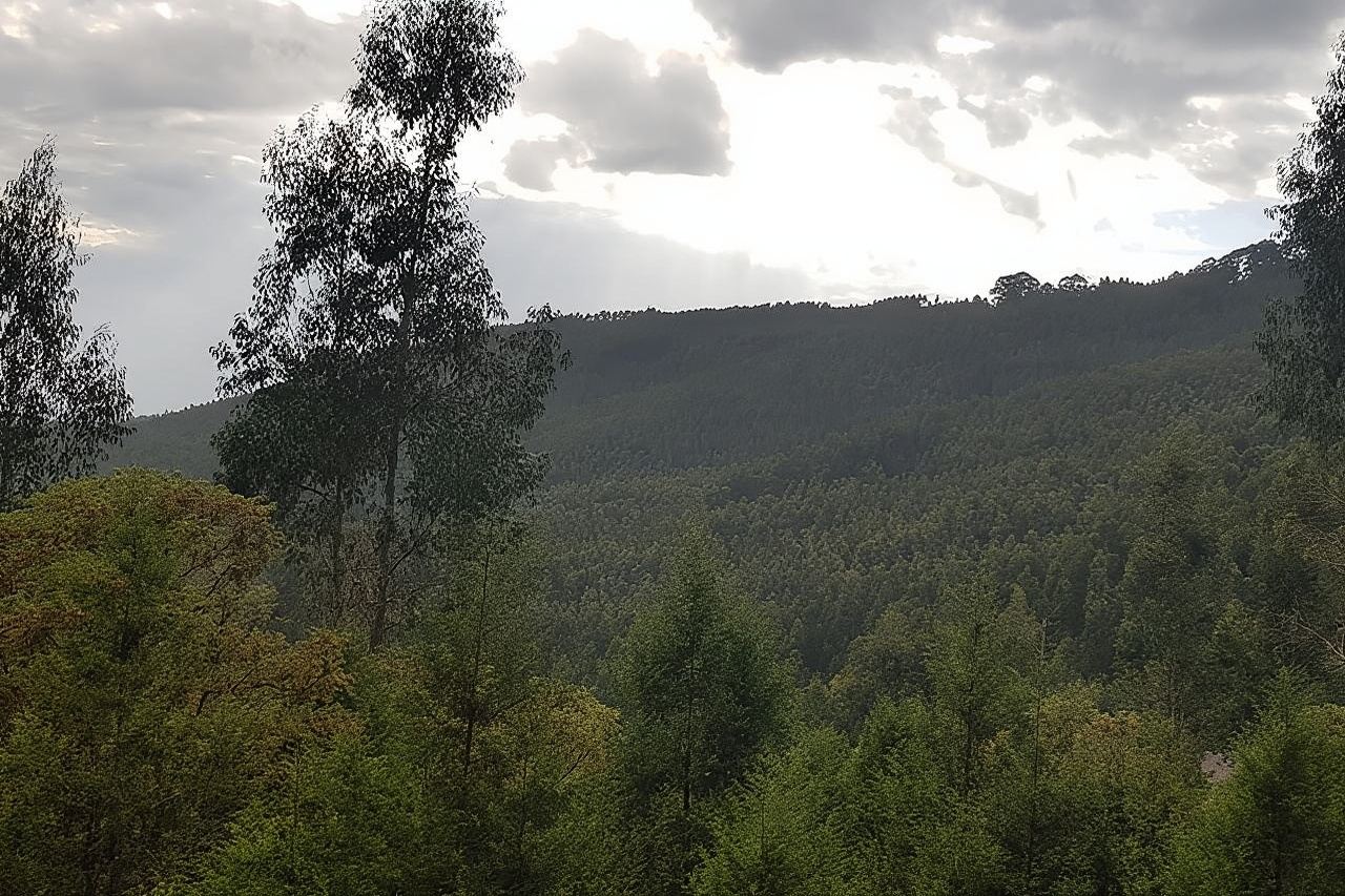 Recorrido por la ciudad de Addis Abeba, cómo moverse por Addis Abeba en coche