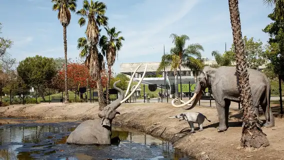 La Brea Tar Pits and Museum Admission Ticket with Excavator Tour