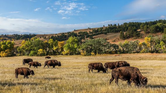 Self-Guided Driving Audio Tour Bundle to Explore Dakota