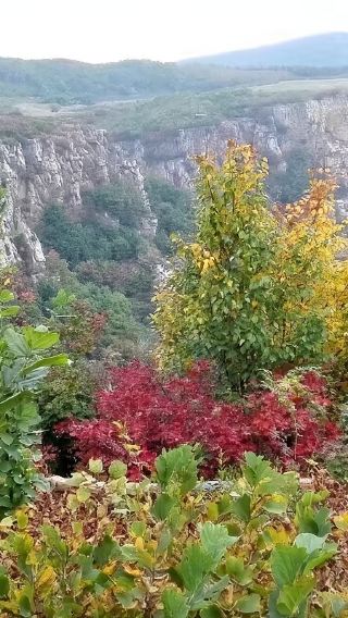 本溪大溪谷+冒險公園+爬山+戲水+不含門票休閒一日遊