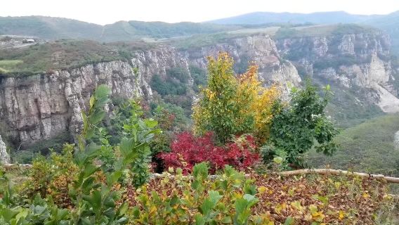 本溪大溪谷+冒險公園+爬山+戲水+休閒一日遊