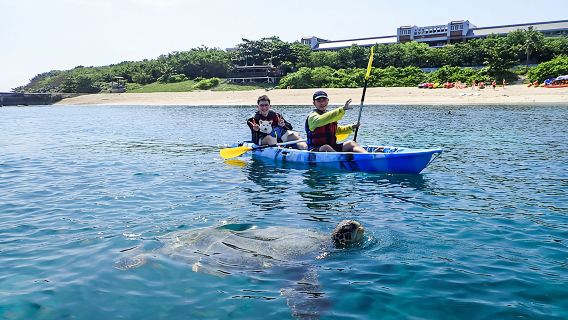 琉球島カヤック及びカヌー1.5時間【SUP・カヌー体験|小琉球ウミガメ】