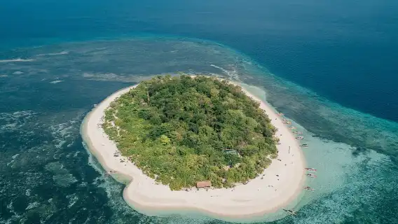 真環灘島一日遊-可加深潛+可加紅樹林/多個基地可選
