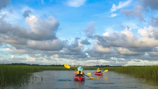 2-Hour Hilton Head Guided Kayak Nature Tour