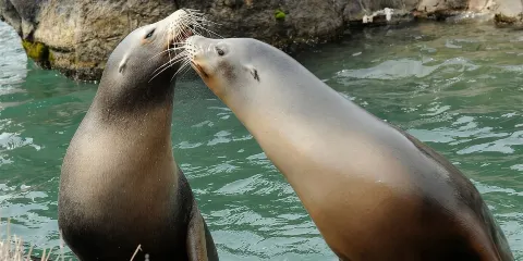 中央公園動物園門票連4D影院入場