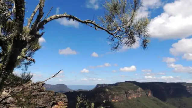 雪梨出發的藍山小團深度遊