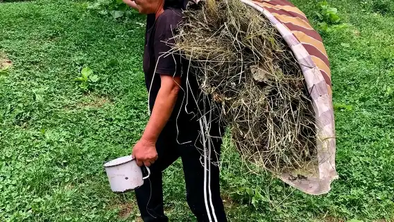 Original Carpathian Village Experience and Sinaia in one day tour