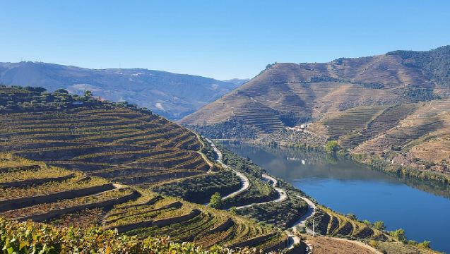 Douro Valley Tour: Wine Tasting River Cruise and Lunch from Porto