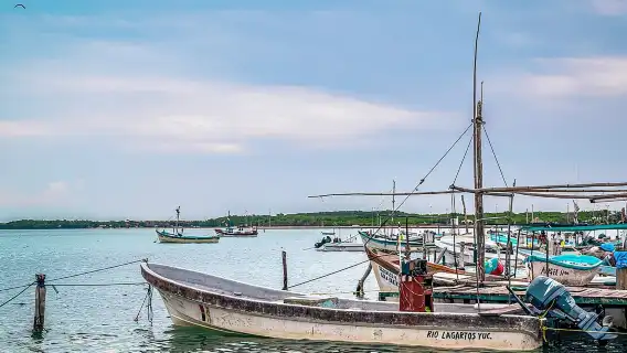 Las Coloradas Pink Lake & Rio Lagartos Guided Tour 
